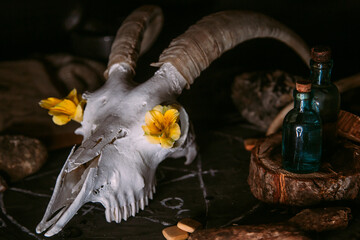 White goat scull with horns, flowers, open old book, candles on witch table.