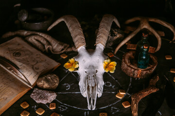 White goat scull with horns, flowers, open old book, candles on witch table.
