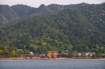 People gathering around the Miyajima torii during the low tide.