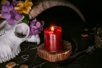 White goat scull with horns, flowers, open old book, candles on witch table.