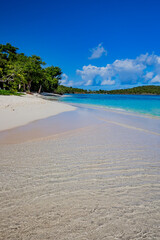 Crystal clear water and snowy white sandy beaches dominate the beaches of St. John in the USVI