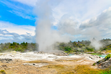 Whakarewarewa Geysir Terrasse im Te-Puia-Thermalpark in den geothermal Feldern von Rotorua auf der Nordinsel von Neuseeland