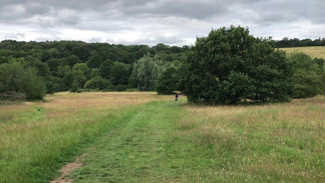 English Countryside. Typical View Of The English Landscape On A Summers Day. Mixed Land Use Woods And Farming.