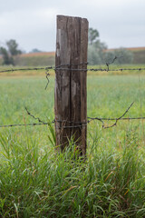 fence in a field