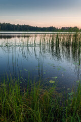 Sunrise over lake on a calm, peaceful morning, with forest in afar