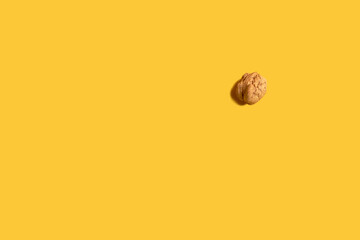 walnut over yellow background. above view. oil ingredient. brainstorm minimal concept. brain symbol.