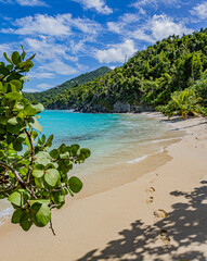 Fototapeta na wymiar Jumbi bay beach surrounded by grape leaf trees and coconut palms