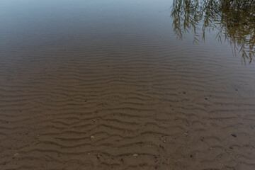 reflection of green grass in transparent water