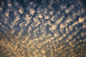 beautiful cirrus clouds on the blue sunset sky