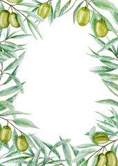 Greenery Watercolor olive leaves frame, Realistic olives tree branch illustration on white background, Hand painted wedding invitation. Isolated Border design for poster, greeting card, label concept.