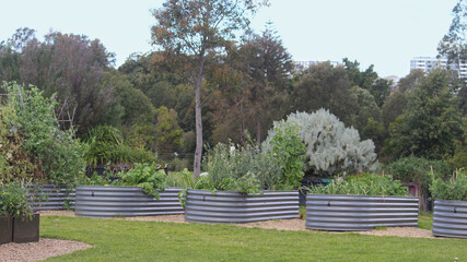 Community garden, 