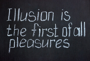 Obraz premium Chalkboard lettering Illusion is the first of all pleasures