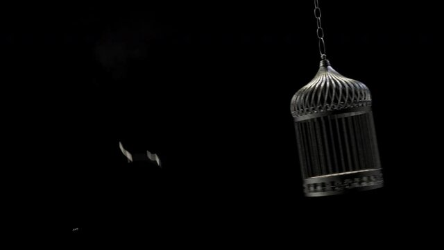 Breaking an empty hanging bird cage for freedom.
Breaking a hanging chained bird cage depicting freedom and escaping from an isolated prison to enjoy the new life full of spirit. With Alpha.