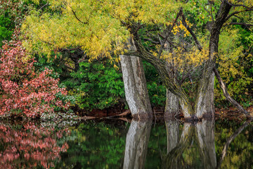 A small hidden pond in fall color in Oklahoma City
