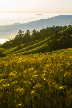 View of Mount Tamalpais and Jesus Romo trail during sunset