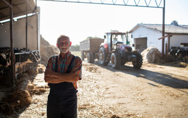 Portrait of senior farmer in cattle barn