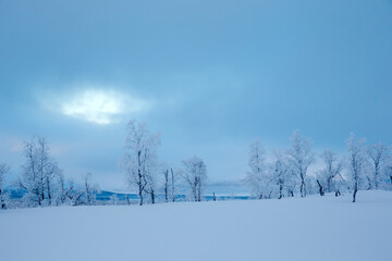 View of snow covered trees on snowy landscape against cloudy sky