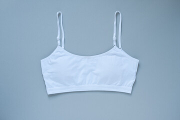 Female bra on a gray background