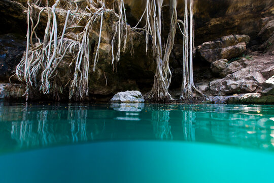 Entrance to cenote with roots and rocks
