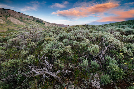 View of Gros Ventre Range during sunset