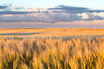 View of Canadian Prairies against cloudy sky