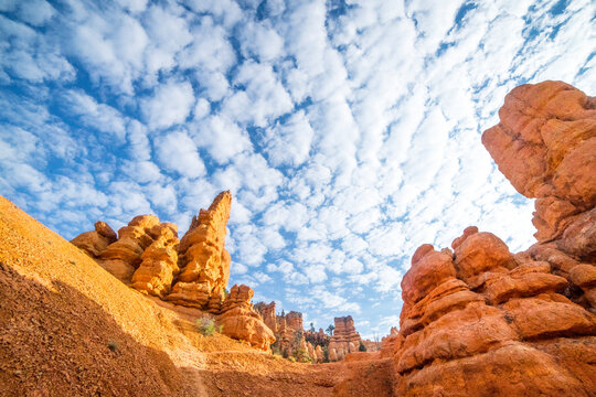 Low angle view of hoodoos in Dixie National Forest