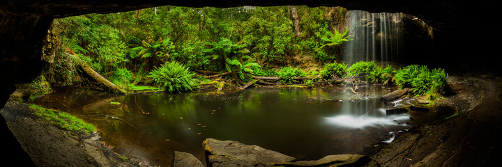 Lower Kalimna Falls in forest