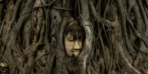 Buddha head in tree growing at Wat Mahathat