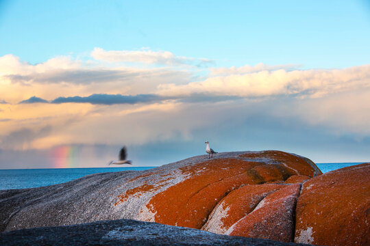 Scenic view of rainbow over Bay of Fires