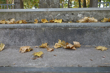 Blätter auf einer Treppe