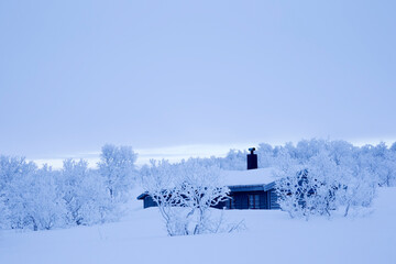 View of house on snowy landscape against sky
