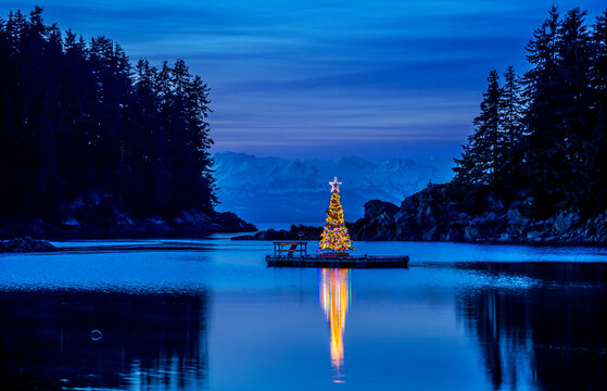 Illuminated Christmas tree on boat dock in Amalga Harbor in Juneau