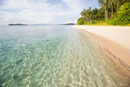 Scenic view of beach with palm trees in Philippines
