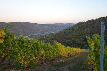 D&auml;mmerung &uuml;ber den Weinbergen im Mittelrheintal