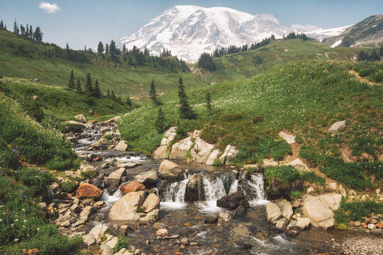 Edith Creek flowing through meadows of Mount Rainier