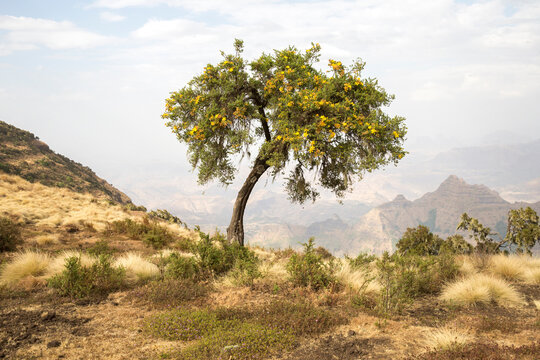 Simien Mountains in Ethiopia