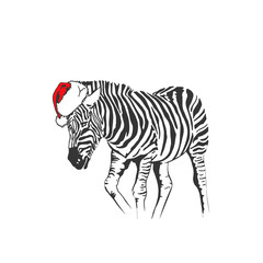 Fototapeta na wymiar Graphical zebra in Santa Claus hat isolated on white background, vector new year illustration