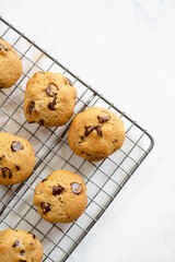 Homemade cookies with a chocolate chip on the oven rack
