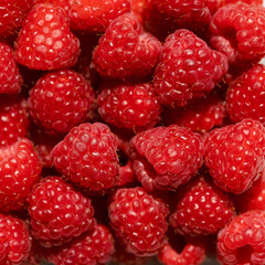 Close-up of fresh red raspberries on a background