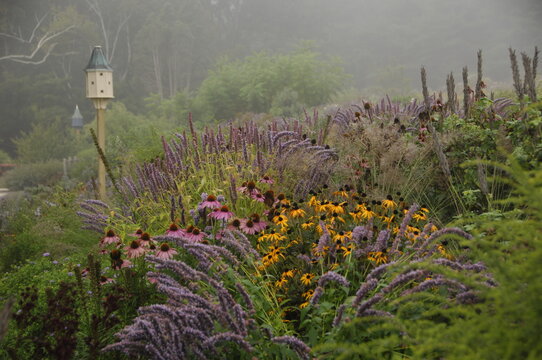 View of fogy garden with birdhouse