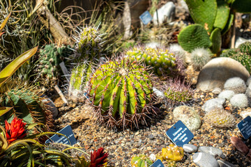 Botanischer Garten