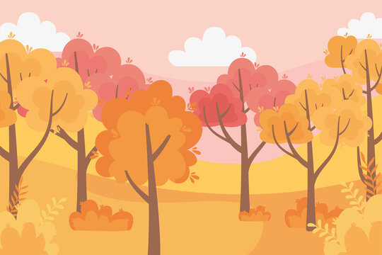 leaves forest autumn panorama nature trees sky scene