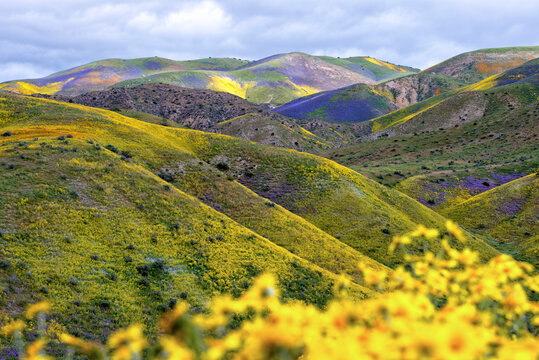Scenic view of Temblor Range