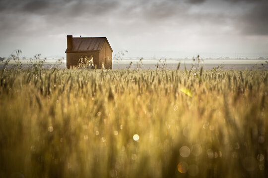 View of barn in field against cloudy sky