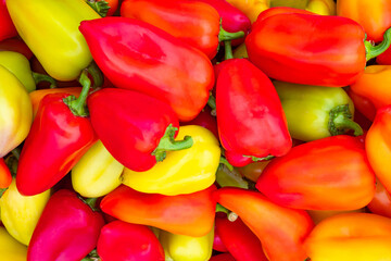 Sweet peppers of different colors. Bright vegetable background of peppers. Crop of peppers. Agricultural products. Background of paprika.