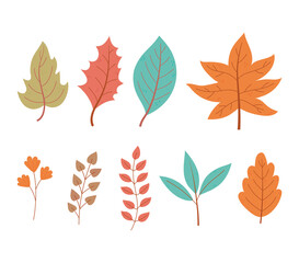 autumn leaves maple branch foliage nature icon set