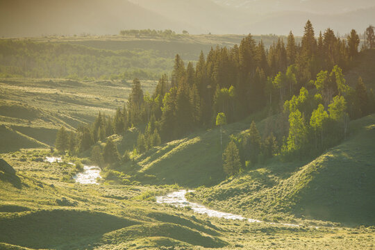 Scenic view of Roaring Fork Creek