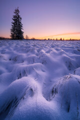 Scenic View Snow Covered Landscape
