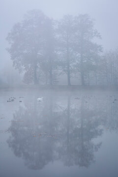 Mist over lake before sunrise, Lower Silesia