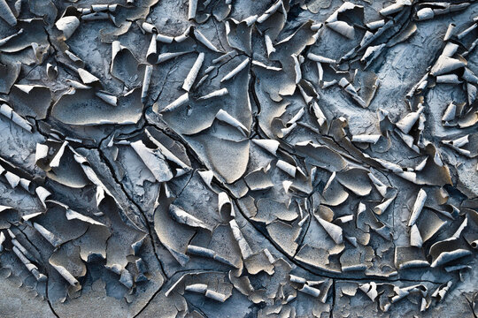 Cracked mud desert in New Mexico